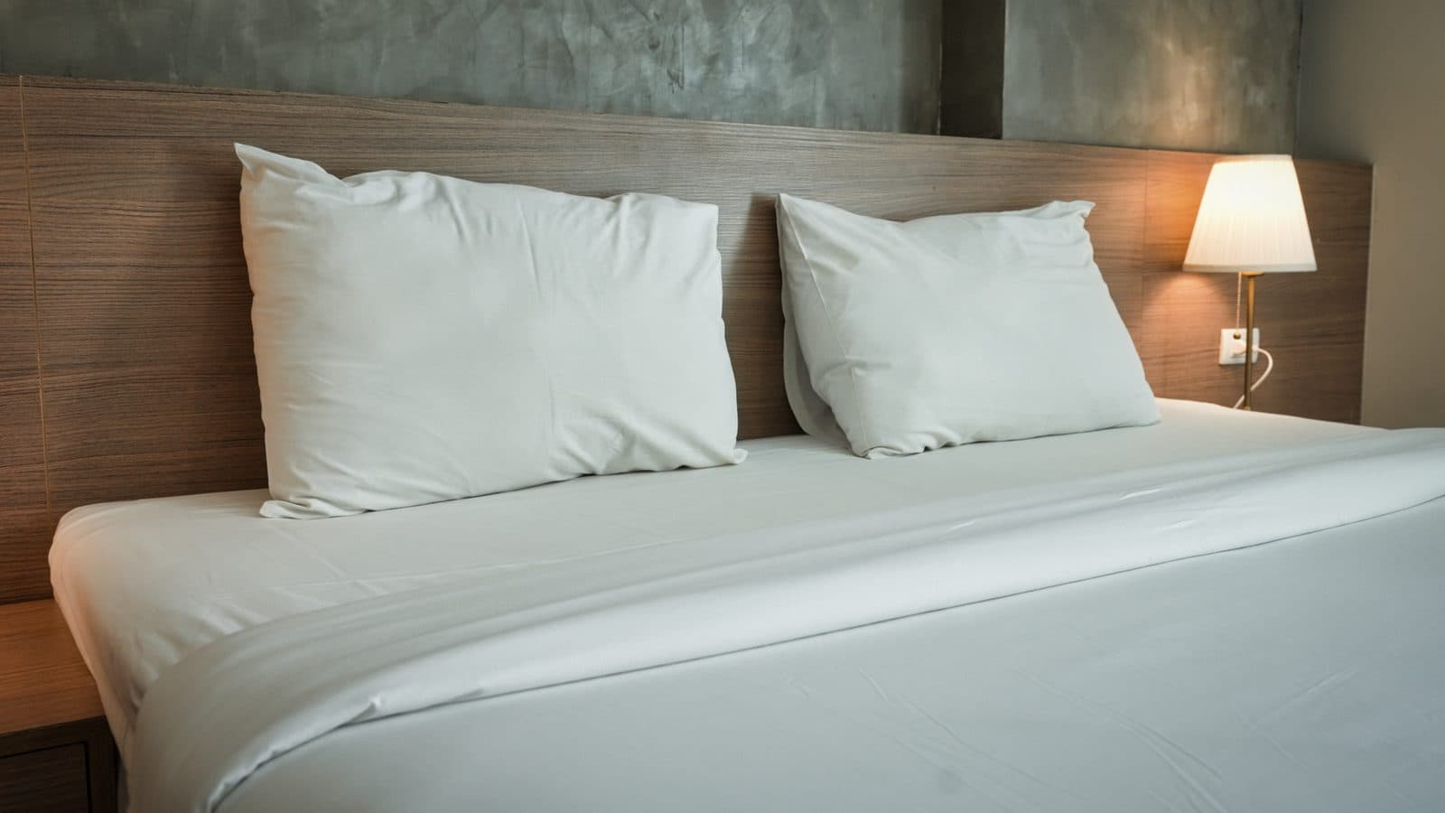 Pisos turísticos y Airbnb — EKONET, Bizkaia